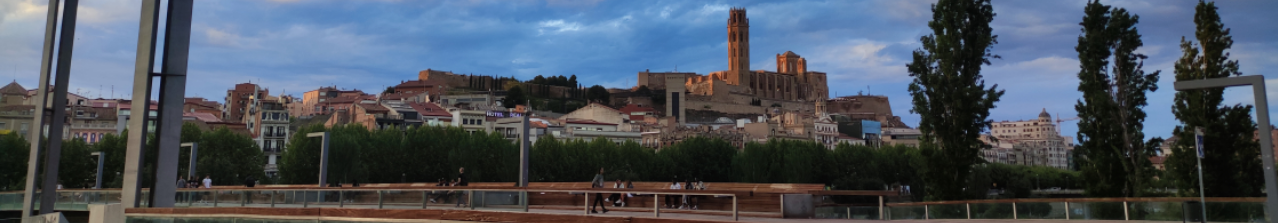 Inmobiliaria Finques Guiu su agencia de confianza en Lleida. FINQUES GUIU en Lleida